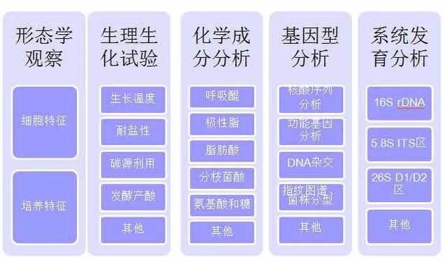 微生物檢測(cè)基礎(chǔ)知識(shí)