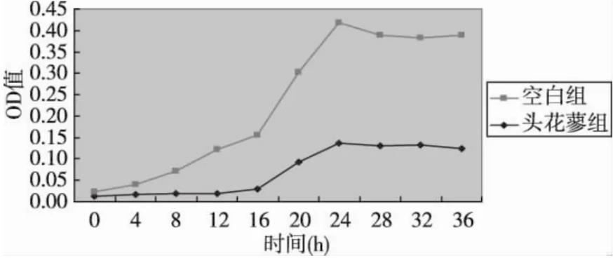 苗藥頭花蓼可抑制幽門螺桿菌(H.pylori)生長