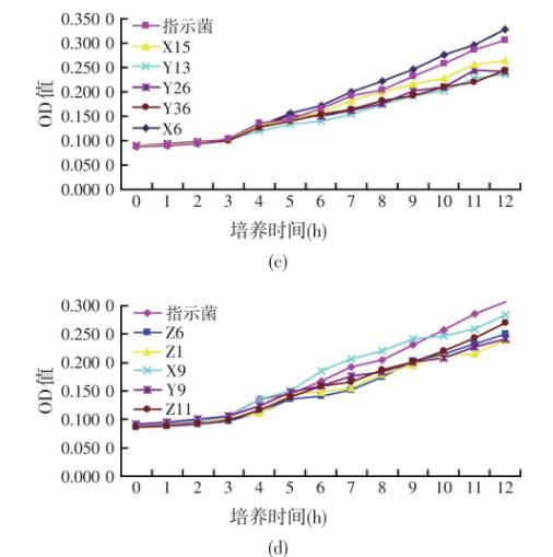 大黃魚病原性哈維氏弧菌在試驗菌發酵上清液拮抗下的生長曲線
