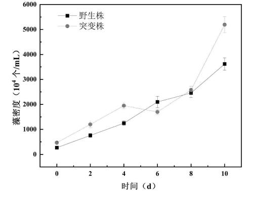 高效固碳優勢微藻突變株應用于污水處理，去污效果好，成本低