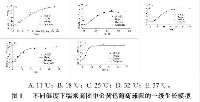 4～37℃條件下金黃色葡萄球菌在糯米面團中的生長規律