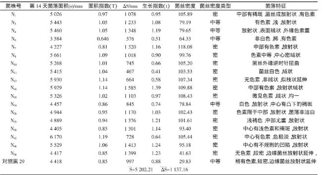 野生黑木耳N56菌株分離純化、菌絲生長速率實(shí)驗(yàn)（一）