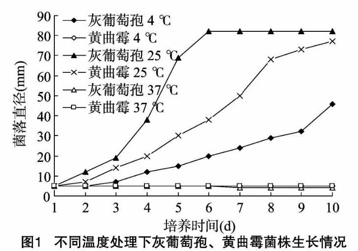 不同溫度、pH值、光照及培養(yǎng)基對灰葡萄孢、黃曲霉菌株生長影響
