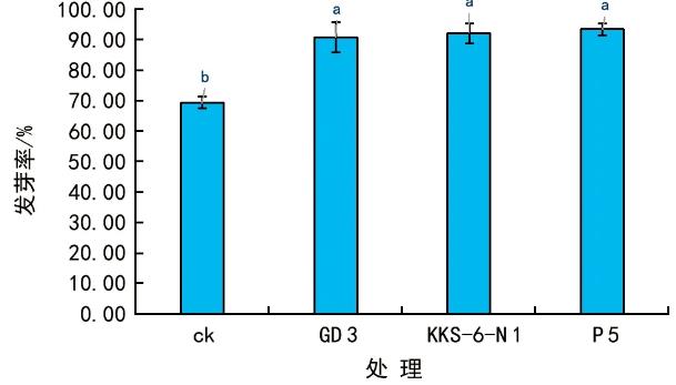 根際細菌菌株可提高辣、及花生種子發芽率，促進幼苗生長