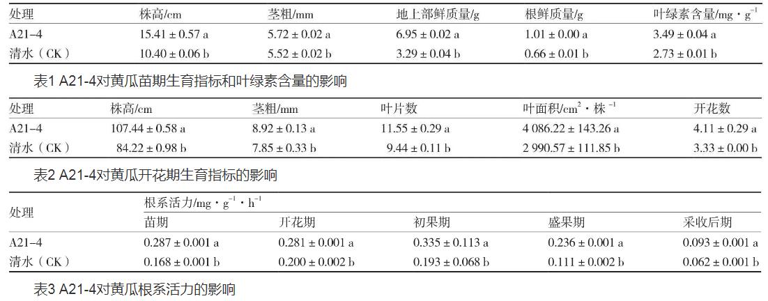 普城沙雷菌對黃瓜生長品質、根際土壤微生物數量的影響（一）