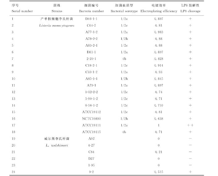 產(chǎn)單核細胞李氏桿菌噬菌體分離、超離、宿主譜鑒定及生長曲線繪制（二）