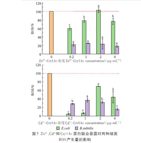 Zn2+、Cd2+、Cry1Ac蛋白單獨及聯(lián)合暴露對大腸桿菌和枯草芽孢桿菌的毒性作用（三）