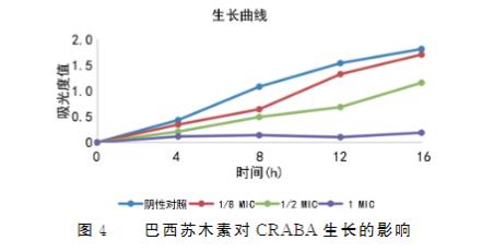 不同濃度巴西蘇木素對耐碳青霉烯類鮑曼不動桿菌生長及抑制作用（一）