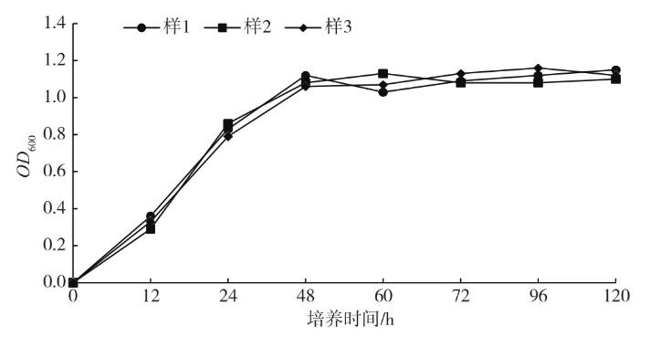 制藥廢水生化處理過程中硝化菌分離篩選、生長曲線的測定（二）