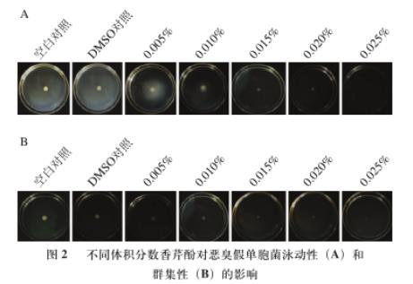 香芹酚對惡臭假單胞菌生長、運動能力、產胞外蛋白酶和生物被膜能力影響（二）