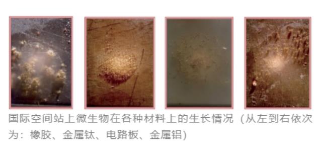 空間站微生物來自哪里？微生物培養法檢測技術