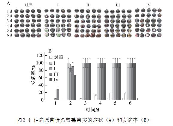 25種天然植物精油對藍莓致病菌生長曲線、抑制作用（二）