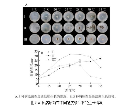 25種天然植物精油對藍莓致病菌生長曲線、抑制作用（三） 