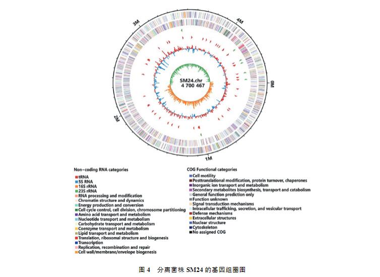 雞印第安納株沙門菌生長(zhǎng)、致病性及藥物敏感性研究（三）