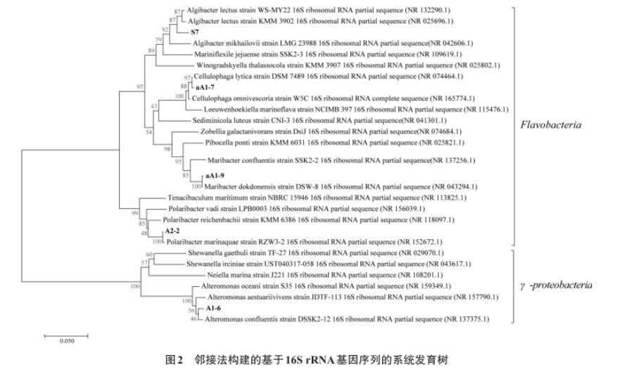 滸苔多糖降解微生物采集、分離、篩選、鑒定及生長(zhǎng)曲線測(cè)定（二）