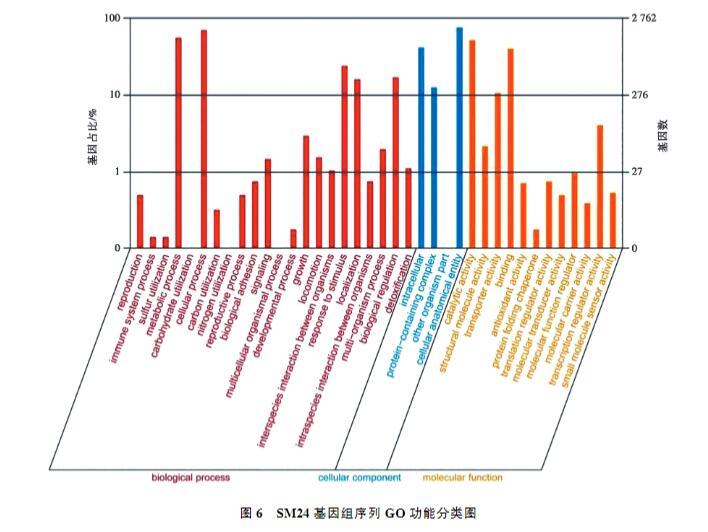 雞印第安納株沙門菌生長(zhǎng)、致病性及藥物敏感性研究（四）