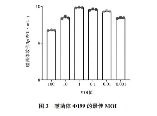 大腸桿菌噬菌體Φ199一步生長曲線、與鹽酸克林霉素體外聯合應用效果（二）
