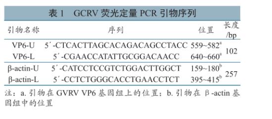 草魚呼腸孤病毒培養與滴度測定、及在草魚、CIK細胞上的生長特性研究（一）